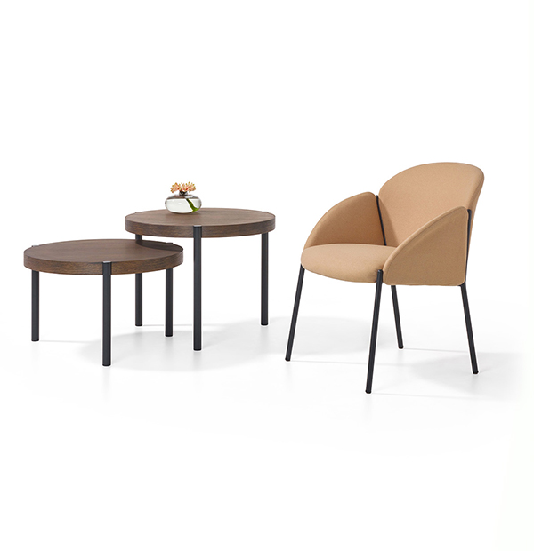 Artifort – fauteuil Andrea Lounge